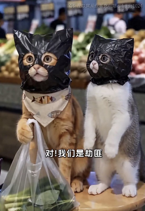AI 剧还真的有点东西🥲@