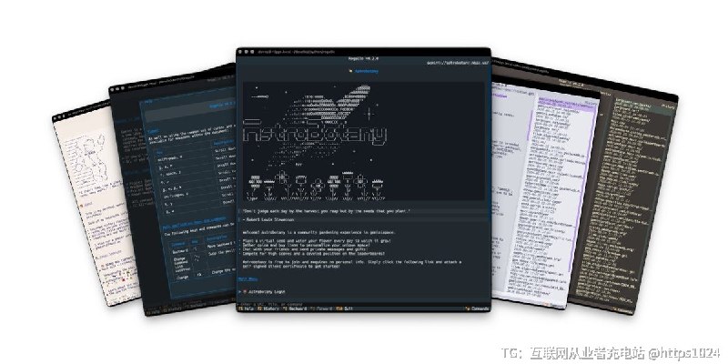 用 Python 写的终端版 Gemini 客户端，能搜书签和历史、前后翻页、设主页