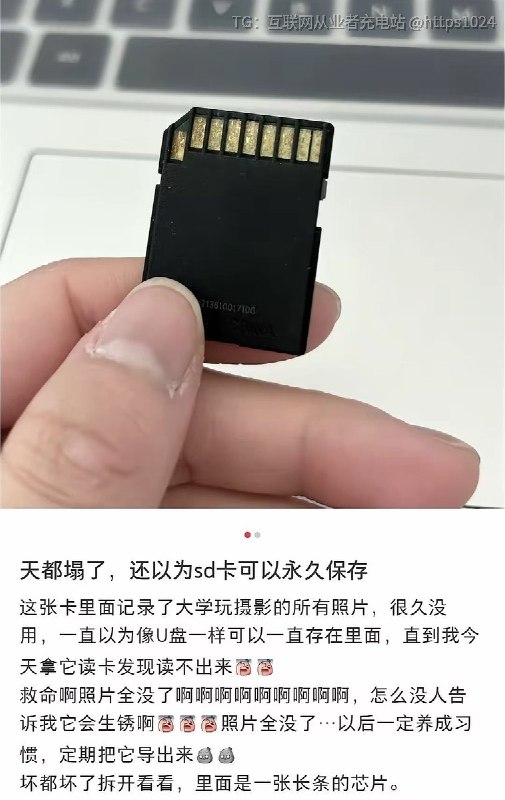 现在有可以永久保存数据的介质吗网盘也不靠谱 发现QQ相册和Google photo相册的几张照片也像素丢失@