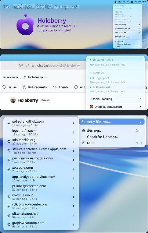Holeberry 是 macOS 菜单栏里的 Pi-hole 管理工具，它把 Pi-hole 的常用操作搬到 macOS 菜单栏