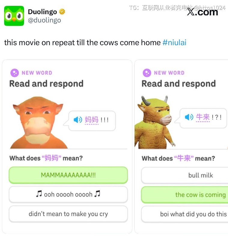 uh😧 duolingo ？@