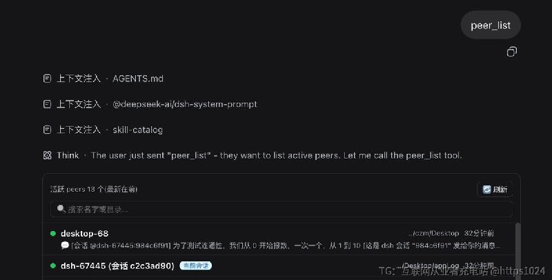dsh 会想和本机其他 agent(比如 Claude Code)说,这个插件用 unix socket 把它们串起来互相收发消息