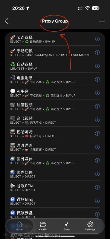 了解了一下小火箭的策略分组功能 用上了 还不错😌在主页直接下拉的 看到的是 Proxy Group ，是配置文件里的代理策略组（[Proxy Group]），可做手动选择、自动测速、故障切换、负载均衡等高级分流，类似于clash分流【图一】而全局路由Global Routing 里面的 Group 是普通节点分组，用来把节点按 US/JP/HK/等自己想要的分类并手动切换【图二、图三】区别是：Group 主要是管节点怎么归类和手动选，而Proxy Group 管的是流量命中后怎么自动选节点，偏clash@