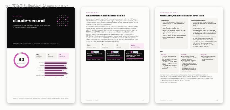 输入一个网站首页地址，自动完成实时 SEO 审计，并用 PDF、XLSX 和 Markdown 给出可执行的改进清单