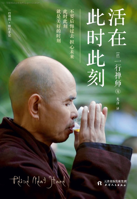 头两天有一个Linux内核的面试者来公司面试，我最后说了一句我经常会说的：感谢您的面试，我今天没有任何问了，您有什么可以问我的吗？ 什么都可以问面试同学说了一句：我研究了很多技术，但是最近很焦虑，无穷无止的自我怀疑，我看了你的博客，我现在状态和当年你离开 deepin linux 的时候状态一样，你是怎么走出来的，你可以告诉我吗？我也读了你分享的《一个新世界》，越想越焦虑我想了几秒钟，我是这样回答的：首先推荐一本书，一行禅师的《活在此时此刻》，别看了禅师两个字，就觉得我们在讲玄学和禅宗，但是一行禅师是少有的通过生活琐事来讲正念的，强烈推荐阅读，他讲的比我好然后我再分享一下我当时离开 deepin linux 的时候是什么心理，我相信和大家面临的是一样的：当年想做很伟大的事情，就像小时候看比尔·盖茨传一样，希望成为那样的人，世界上很多人都用我写的操作系统，一说起来就觉得牛逼炸了