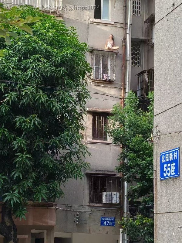 昨天是七夕 今天这个是什么瓜 🍉@